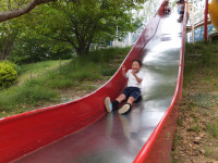 DSCF1004